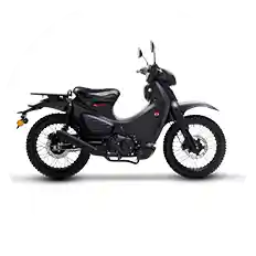 Kamax CUB X 150CC Motorcycle For Wholesale 25